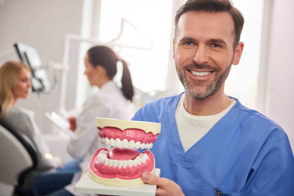 dentist with teeth model
