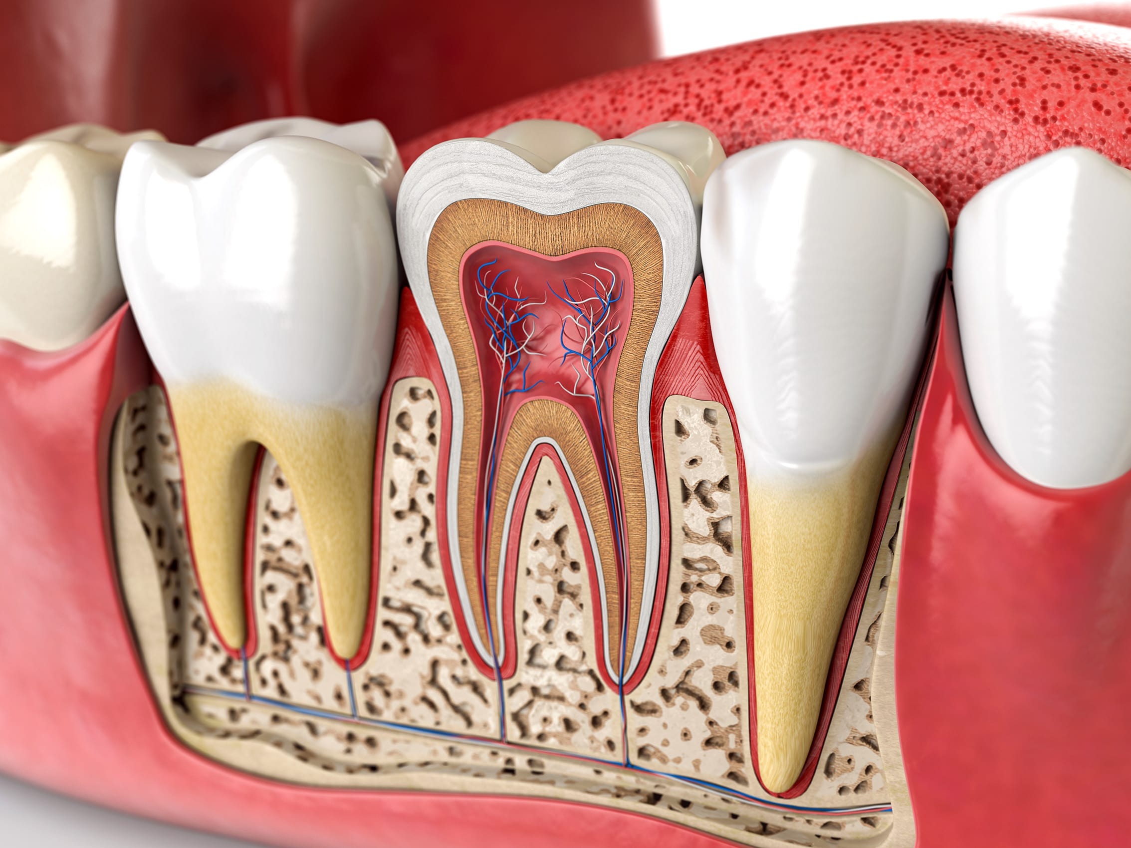 Steps of Root Canal Treatment