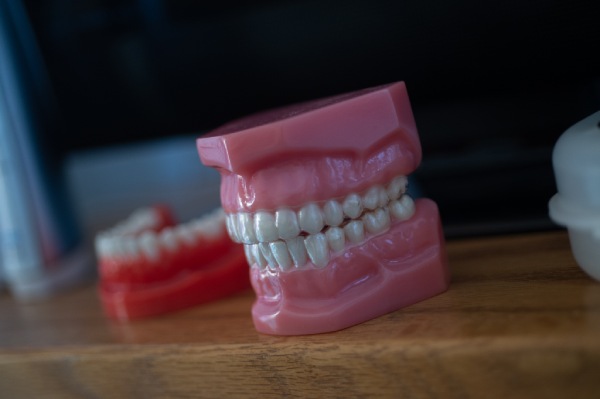 Dental Cleaning New Prague, MN