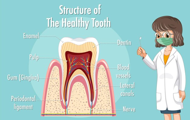 periodontics dentistry